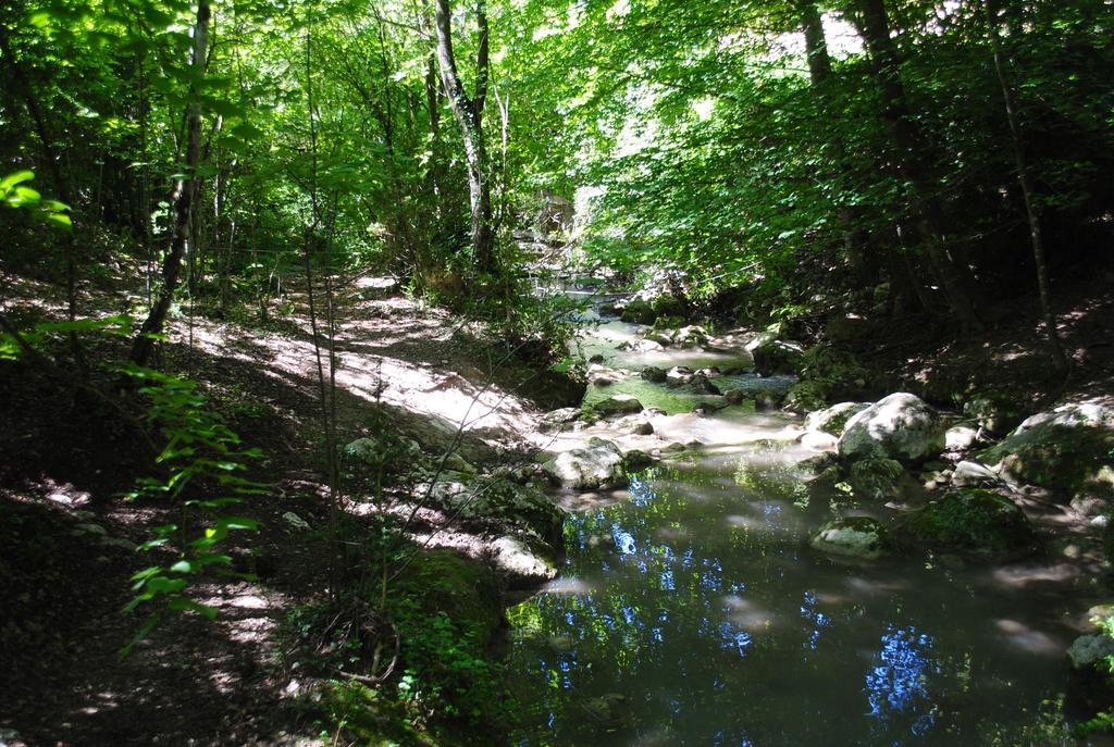 Domaine D'Angouire Ξενοδοχείο Moustiers-Sainte-Marie Εξωτερικό φωτογραφία