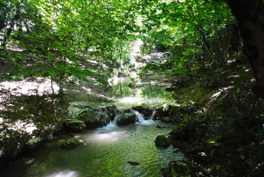 Domaine D'Angouire Ξενοδοχείο Moustiers-Sainte-Marie Εξωτερικό φωτογραφία