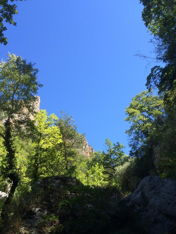 Domaine D'Angouire Ξενοδοχείο Moustiers-Sainte-Marie Εξωτερικό φωτογραφία